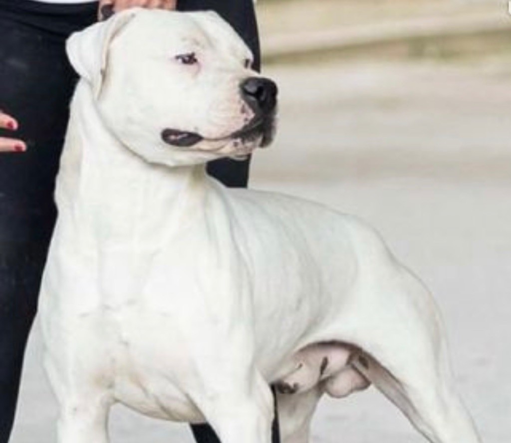 CH. Teotihuacan del Pachanka