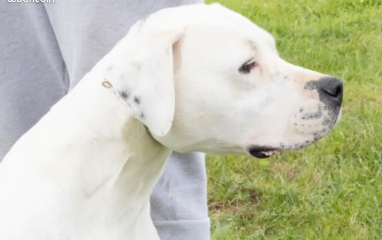 Tempete los guardias de la noche