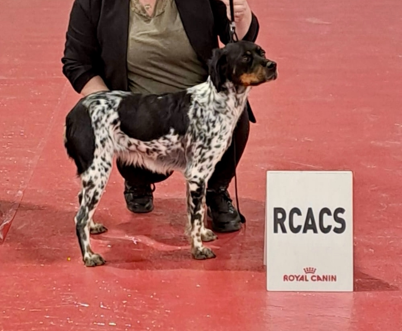 Vick Du Domaine Des Vicogne