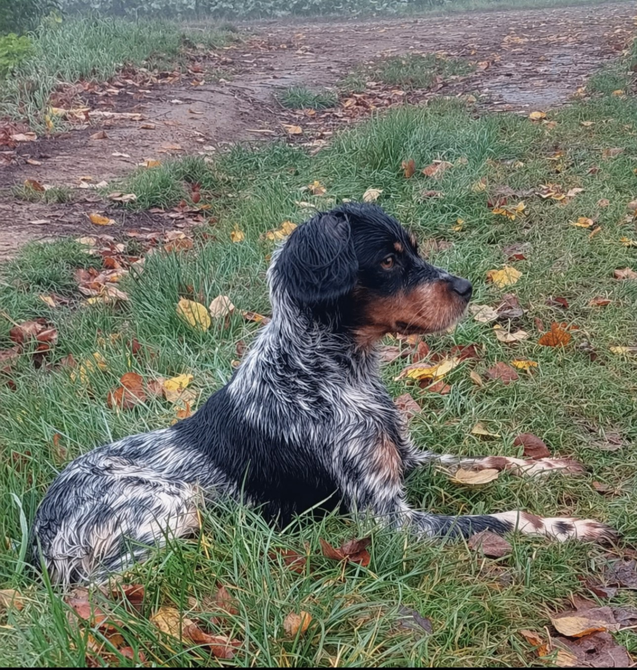 Vega Du Domaine Des Vicogne